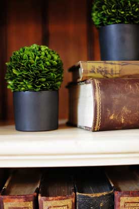 books, shelve, plants